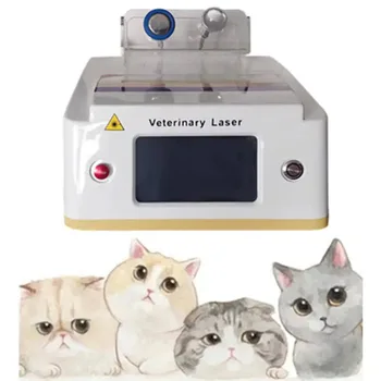 Hujšanje Pralni 980Nm Laser Pes Terapija Pralni 980 Veterinarski Lasersko Odstranjevanje Lepotni Kliniki Uporabo